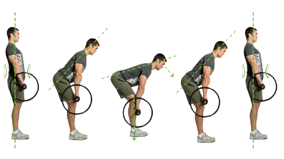 Romanian Deadlifts: The Complete Guide to Stronger Hamstrings, Bigger Glutes, and Better Lower Body Strength